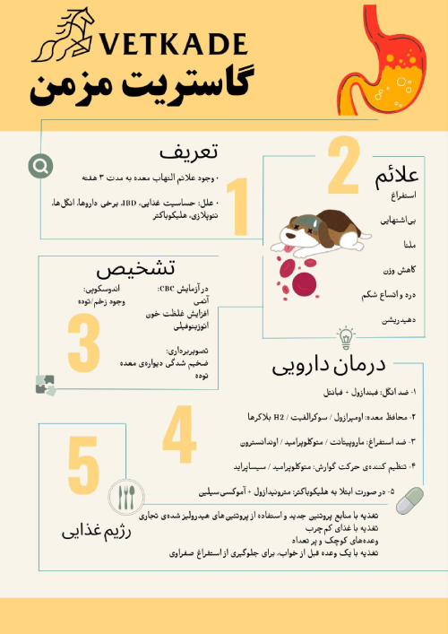 گاستریت مزمن