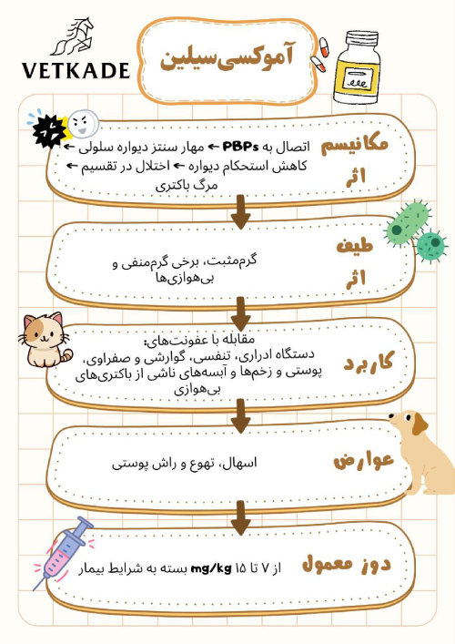 آموکسیسیلین